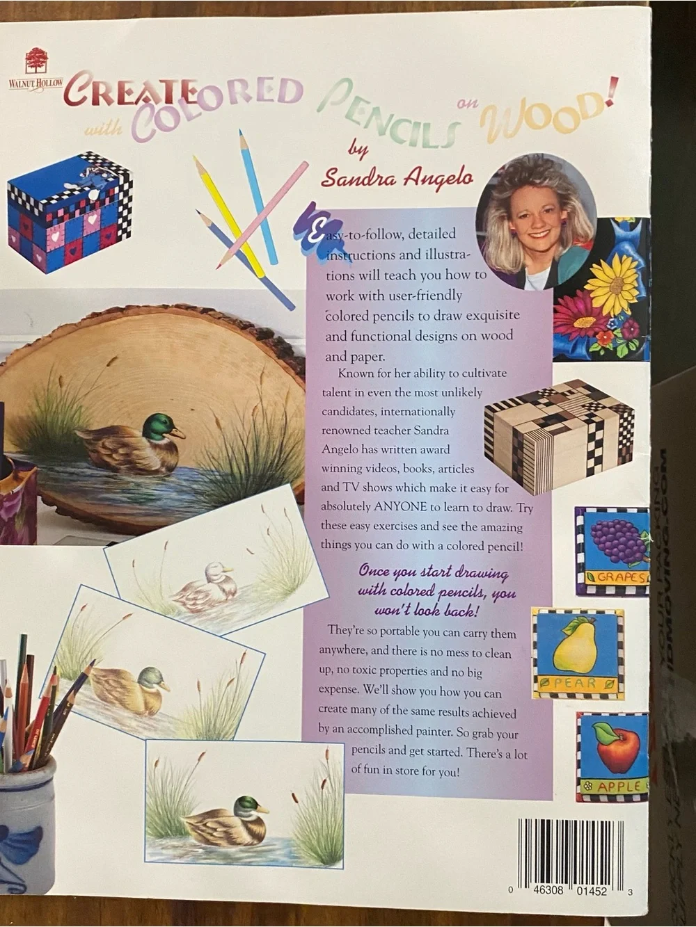 Colored Pencils on Wood Book 1 by Sandra Angelo - Multicolor
